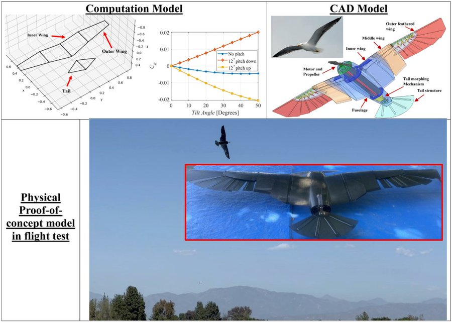 MDPIEngineering's tweet photo. 🌿 Editor's Choice | Researchers developed and flight-tested a gull-inspired unmanned aerial vehicle with morphing wings and tail for enhanced flight control without flapping its wings.
🔗 https://t.co/qKrhYLe1Vd

#bioinspired #UAV #morphing https://t.co/g6TMxQNQ4P