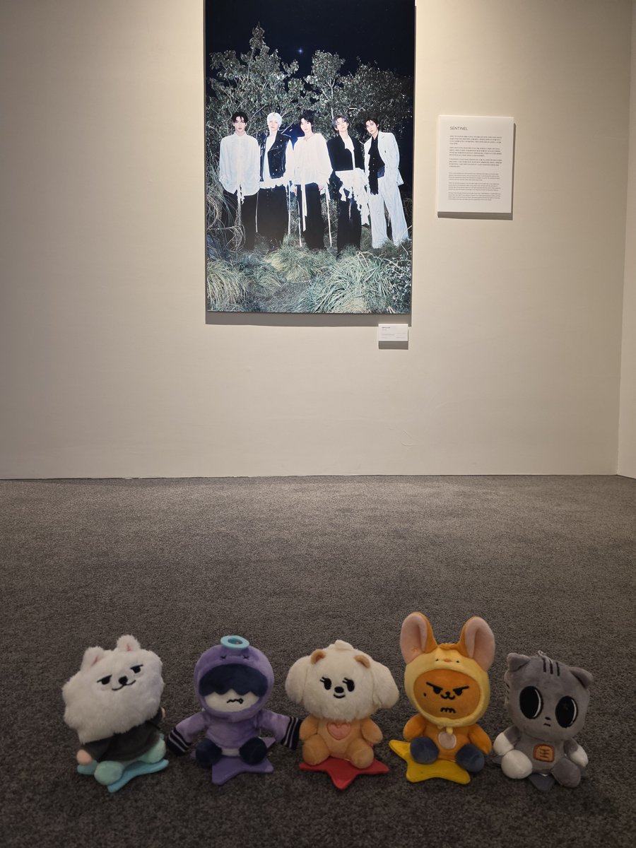 eeeeeboooool's tweet photo. ㄷㅍㅅㅌ 아르고의 선원들 풀프레임 https://t.co/hTKboXBnIb