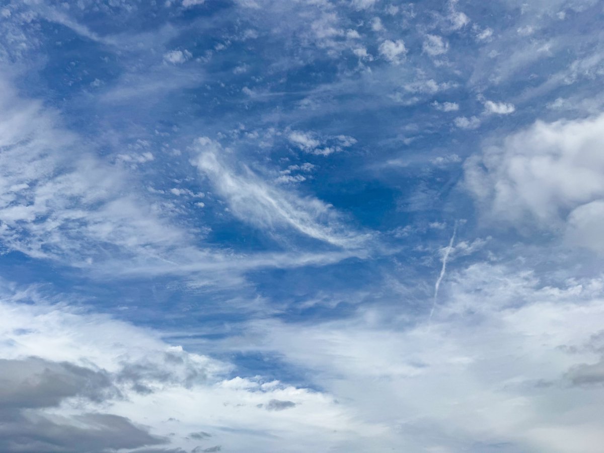 progresst_one's tweet photo. 今日のお外
風が強くて寒かったです🤧 https://t.co/Lt3e4dFDTm