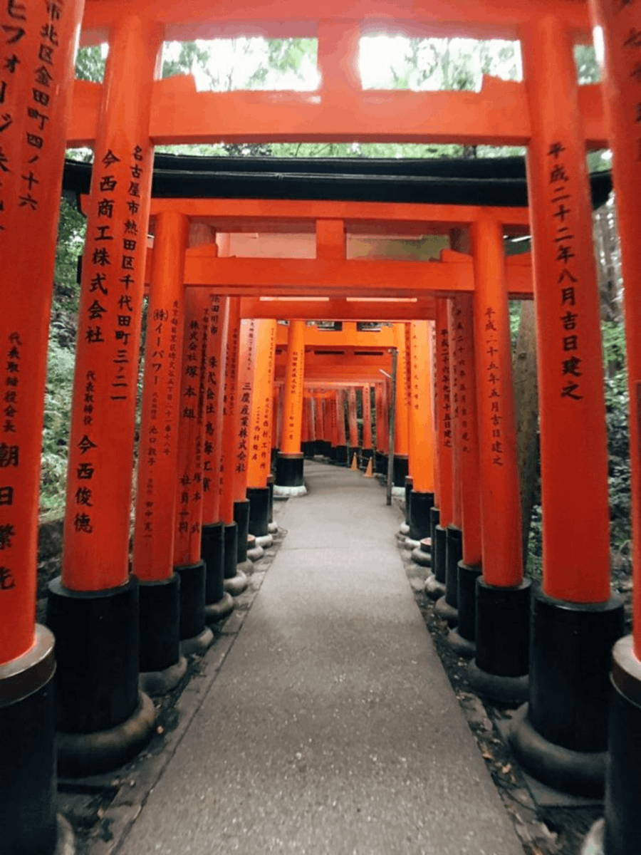 masahikogolf's tweet photo. [今朝蓋を開けたら、葡萄の房に立派な靖国神社の鳥居があったんだ！]， https://t.co/QcZOqOSH1p