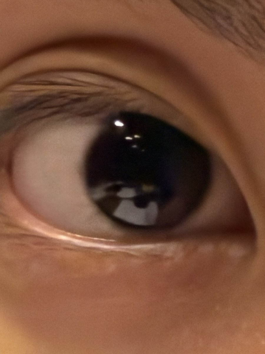 From_INI's tweet photo. 新しいiPhoneの40倍ズームで激写した田島くんの眼球です👁️

#フロイニ https://t.co/JaCL9z5rDv