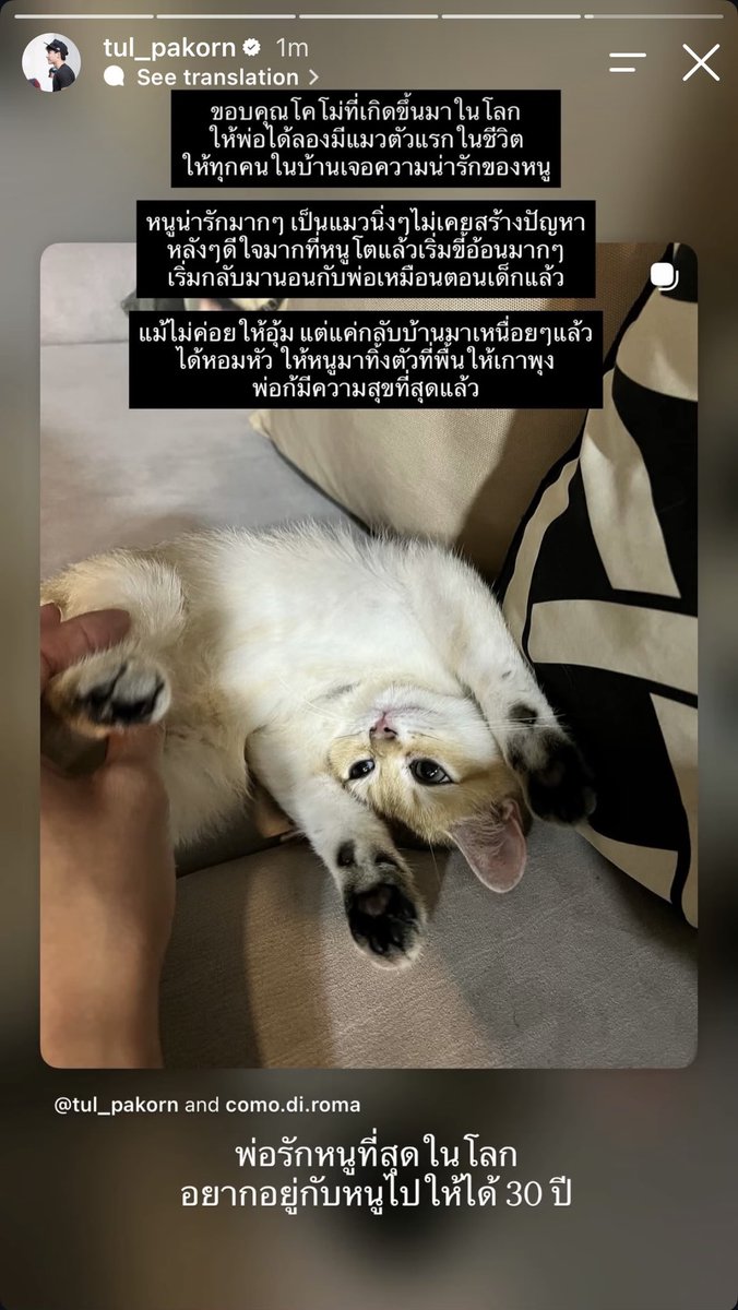__BeWithU__'s tweet photo. ปวดใจ 😭 https://t.co/Gw4gaCg60k