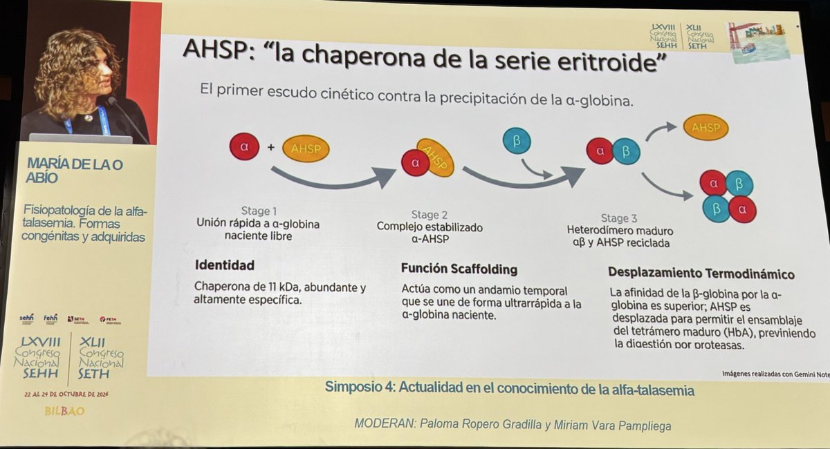 MiguelGmAl's tweet photo. Recordando el simposio de ayer sobre alfa talasemia: fantástico repaso de la fisiopatología por parte de @AcMariola, algoritmos diagnósticos de la mano de Celina Benavente y actualización del manejo con Silvia de la Iglesia. 

#HematoEnRed #HEMandNET #Hematologia @sehh_es https://t.co/I2yO0UcGLe