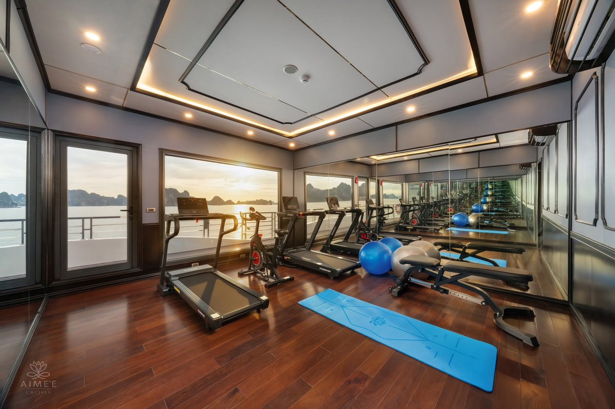AubrielCQLiu38I's tweet photo. Stay active at sea with Aime’e’s onboard gym. From a light morning session to your daily routine, stay energized while enjoying the stunning views of Halong Bay. Your journey, your rhythm, your way. https://t.co/N7SDeSb75O