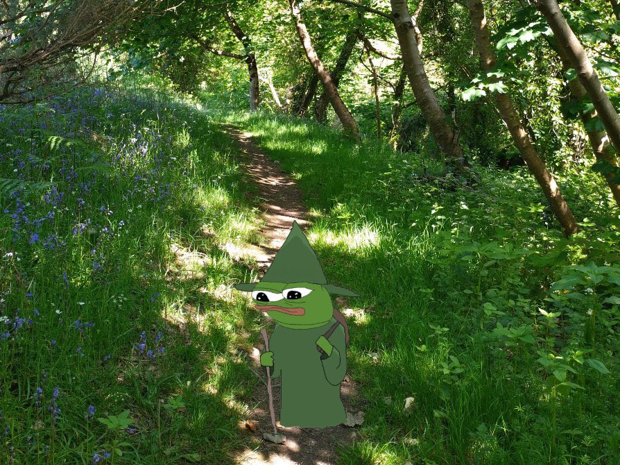 benadrylcryptid's tweet photo. I deactivated my main account. I don’t know if I’ll reactivate it. https://t.co/skT7trst5D