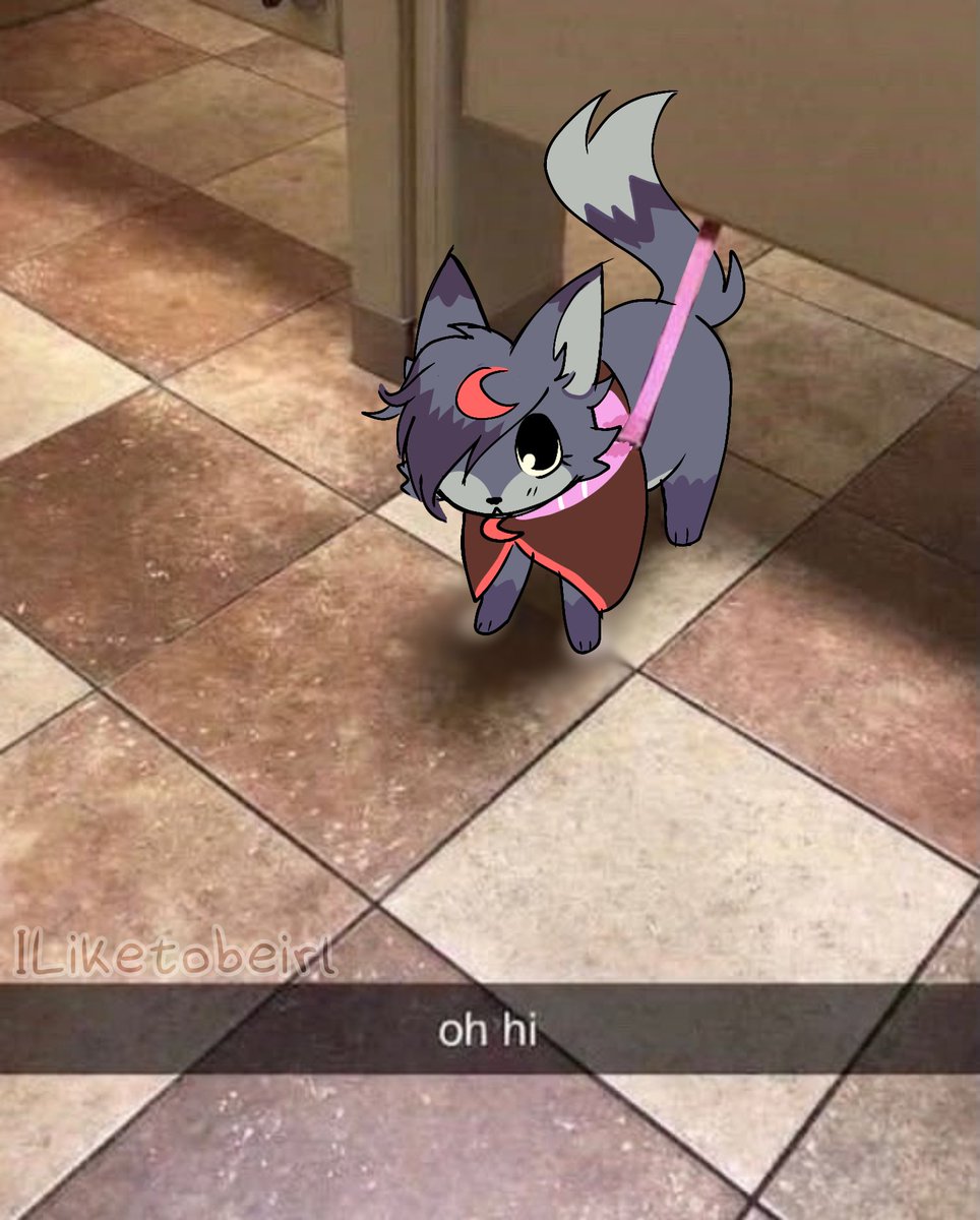 ILiketobeirl's tweet photo. oh hi littl eclipse, what are u doing in the bathroom even
#dandysworld https://t.co/vn0XcZQ1bB
