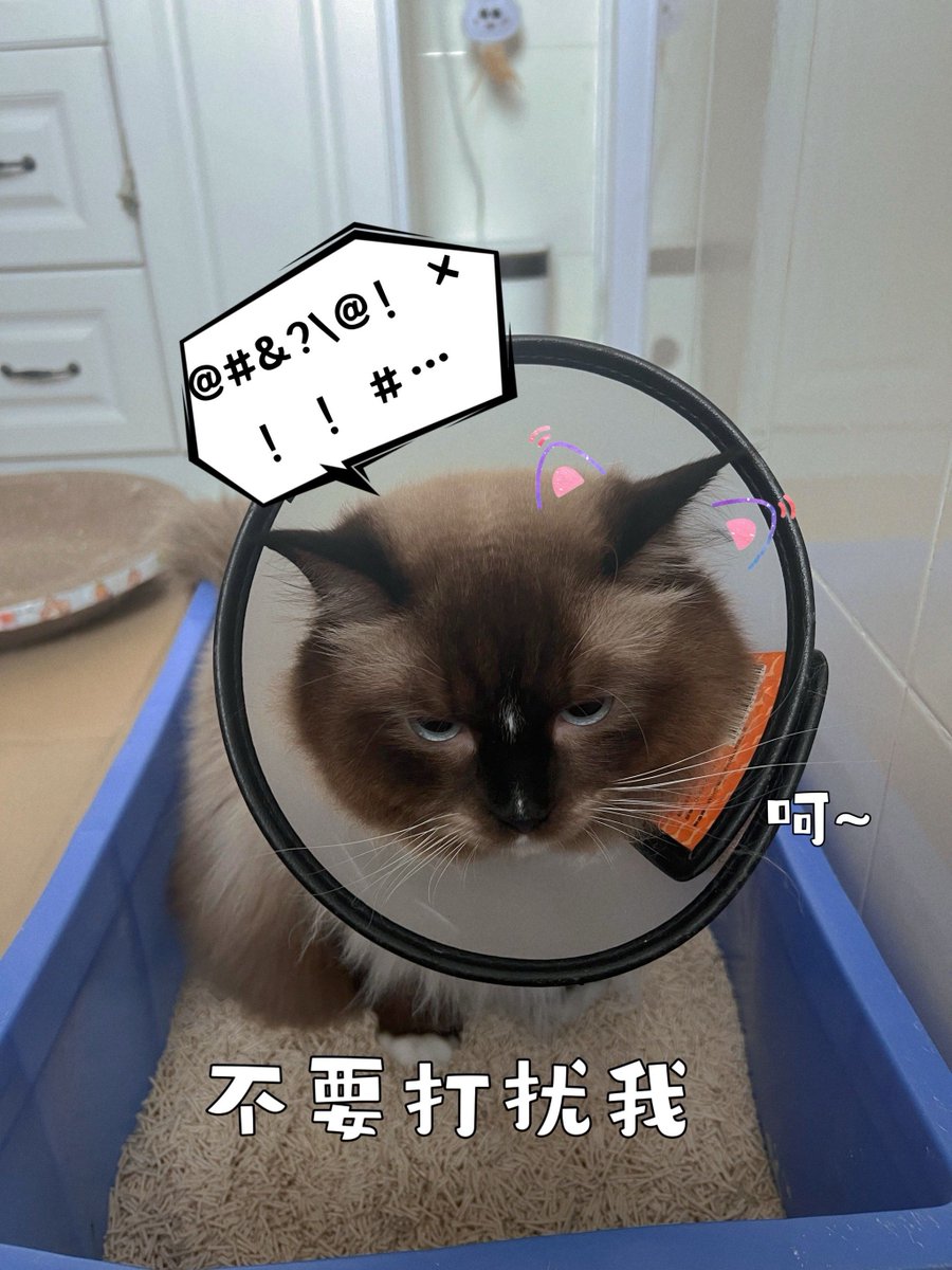 zousanyutori's tweet photo. 敢傅の屎を永くする！なんて、ちょっと変なだじゃれだけど… https://t.co/uzgUSh5b0Z