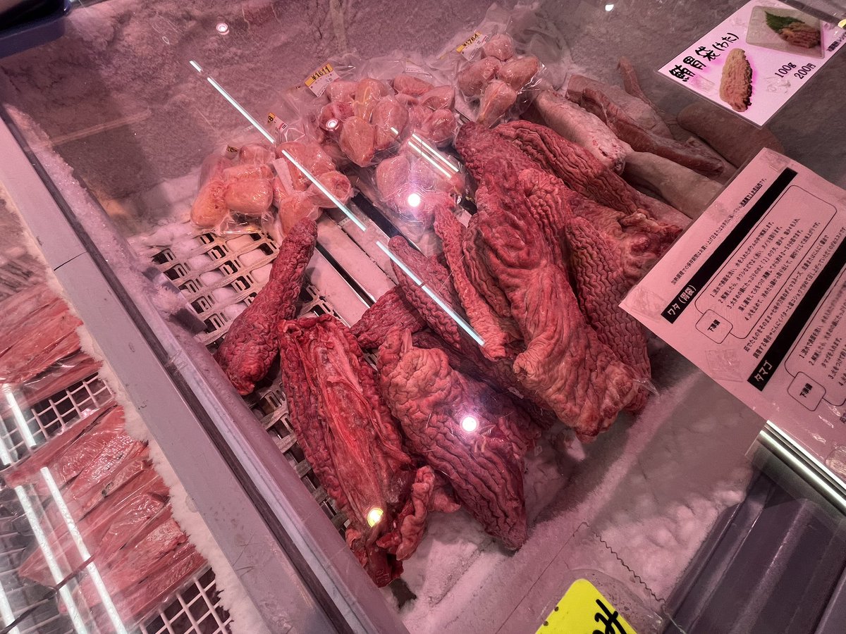 wringbeans's tweet photo. 打ち合わせついでに三崎にあるゆらりっていう直売施設に寄り道🚙

マグロ🐟🍣がいっぱい🈵

危うく色々買ってしまうところだったけど、午後も外歩きで解けちゃうから断念した…😭

マグロの胃も売ってた🐟 https://t.co/LdatQt4Jv3
