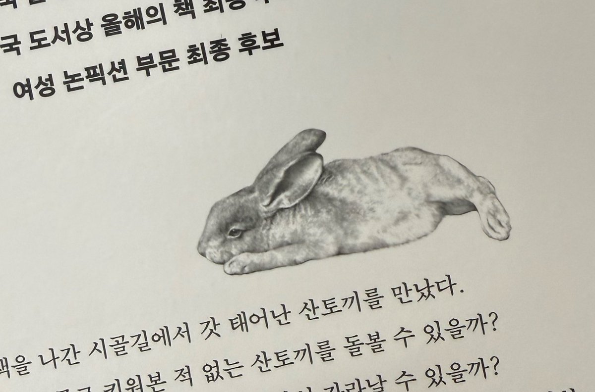 sasimtwogether's tweet photo. 톡기 https://t.co/rT255SdUzV