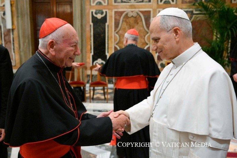 BobsArchives14's tweet photo. Today an audience for the participants in the International Congress held on the occasion of the 150th anniversary of the Faculty of Canon Law at the Pontifical Gregorian University. #pope #leonXIV #Vatican #Audience #23octubre #popeleo https://t.co/R85jzZDjva