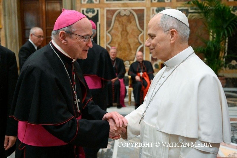 BobsArchives14's tweet photo. Today an audience for the participants in the International Congress held on the occasion of the 150th anniversary of the Faculty of Canon Law at the Pontifical Gregorian University. #pope #leonXIV #Vatican #Audience #23octubre #popeleo https://t.co/R85jzZDjva