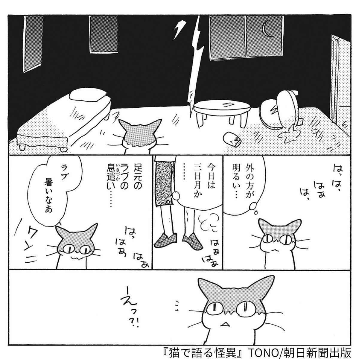 asa_comi's tweet photo. 👻怖い絵が苦手な方のために、登場人物を猫にしました🐈‍⬛