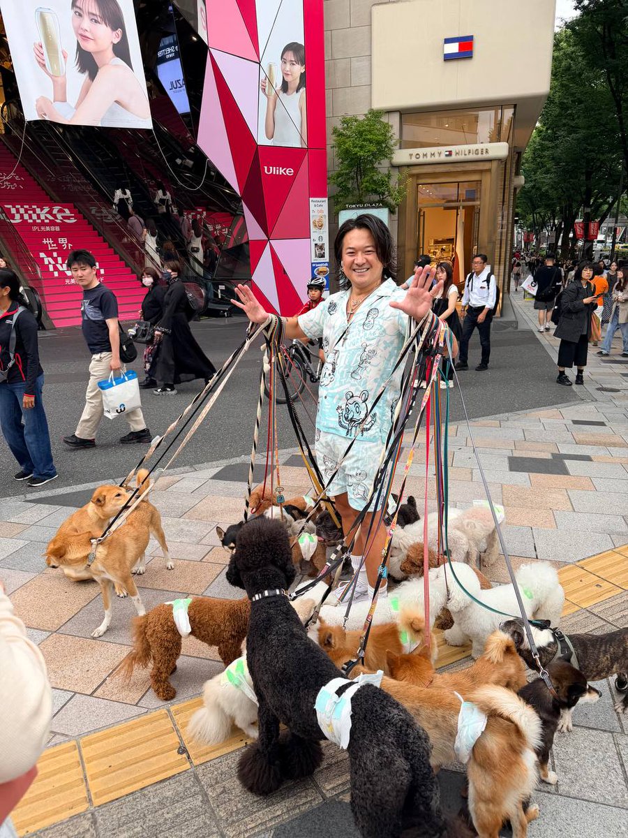 jkiminonawa_ka's tweet photo. 原宿を歩いていたら、24匹もの犬を散歩させている人に遭遇しました🐕🐩🐕‍🦺🐾 たくさんの犬を連れていて、周りの人たちの注目の的になっていました😂✨ https://t.co/316X2yrnVo