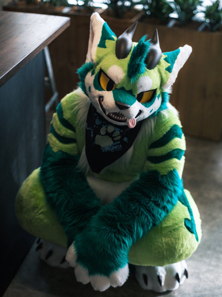 ituka_ookami's tweet photo. 運が悪かったな、今日のエモノは決まりだ
#FursuitFriday #dannyshoot #犬工房 https://t.co/iQUYgoOMfH
