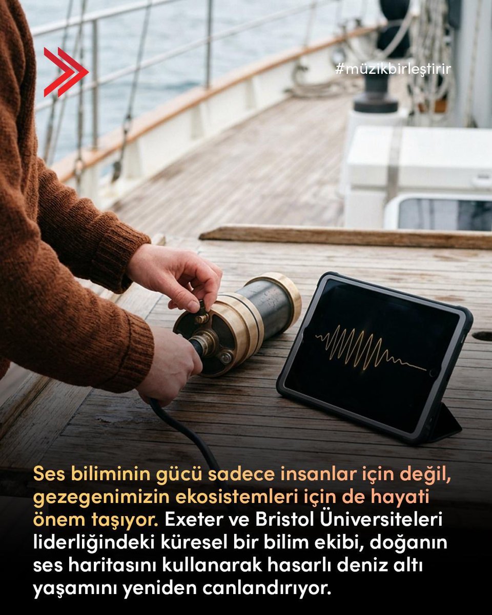 msg_online's tweet photo. Ses, evrenin en güçlü iletişim formudur; doğa bile iyileşmek için doğru ritimleri arar. Deniz biyologlarının yayımladığı büyüleyici çalışma, sualtı hoparlörleriyle yayılan sağlıklı resif seslerinin, hasarlı bölgelerdeki balık popülasyonunu 2 katına çıkardığını ve tür çeşitliliğini %50 artırdığını kanıtlıyor. Ekosistemi temizleyen balıkları geri çekerek mercanların büyümesini sağlayan bu biyo-akustik model, ses biliminin gezegenimizin geleceğine nasıl hayat verebileceğini gösteriyor.

Sound is the most powerful form of communication in the universe; even nature seeks the right rhythms to heal. The fascinating study published by marine biologists demonstrates that healthy reef sounds broadcasted via underwater loudspeakers doubled the fish population and increased species diversity by 50% in degraded areas. This bio-acoustic model, which attracts fish that clean the ecosystem and allow corals to regrow, demonstrates how sound science can bring life to the future of our planet.

#MSG #MüzikBirleştirir #DoğanınSesi #MercanResifleri