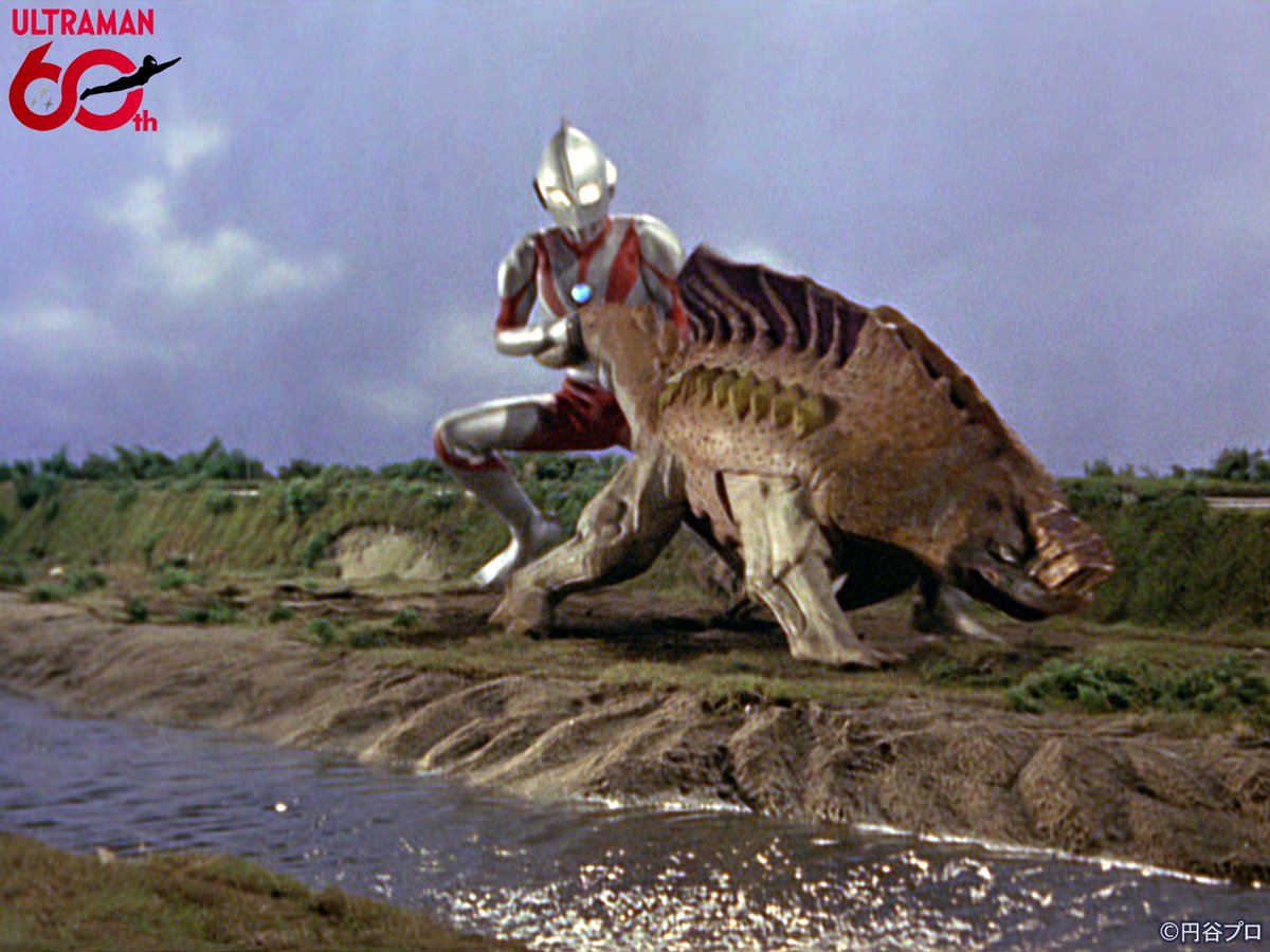 tsuburayaprod's tweet photo. 『ウルトラマン』
15話「恐怖の宇宙線」
ちょうど60年前の1966年10月23日(日)放送📺

「二次元怪獣 ガヴァドン」登場⚡️

#ウルトラマン60周年 https://t.co/DqHSPy76ZW
