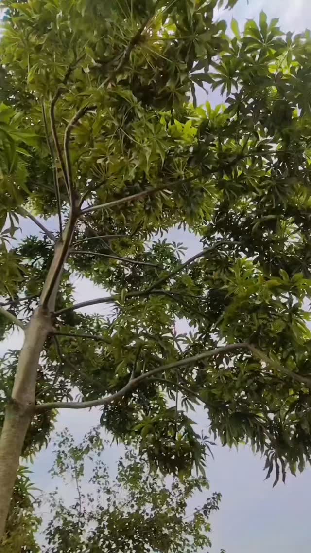 GrequeLucas's tweet photo. 👌💪💪👌👈 https://t.co/6h1JvE54Qr