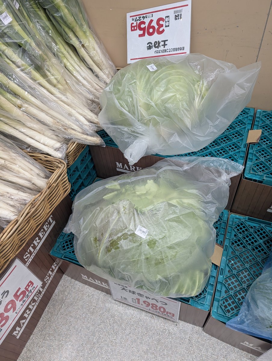 takumi233's tweet photo. クソデカキャベツ売ってる https://t.co/1xtMc27Ihc