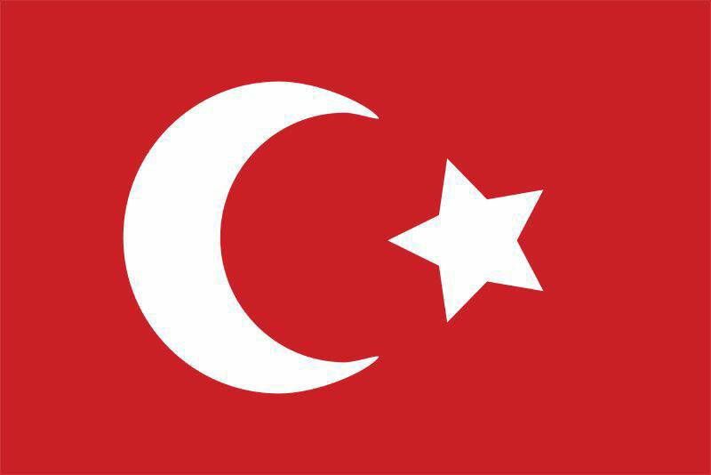 yang14570957's tweet photo. 骂一下这个人吧，让我相信土耳其🇹🇷是个自由国家 https://t.co/CZoS4ow25l