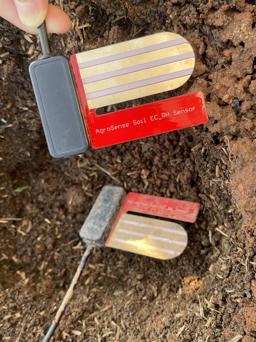 MakerfabsTech's tweet photo. Real-world testing. Reliable performance. 🌱

We buried our AgroSense_Soil &amp; Air EC-TH Pro LoRaWAN® in a vegetable garden in January and dug it up in October. The result? 

Still working normally, detecting and displaying data as expected!

#LoRaWAN #IoT #SmartAgriculture #Sensor https://t.co/dNEe4cp0uP