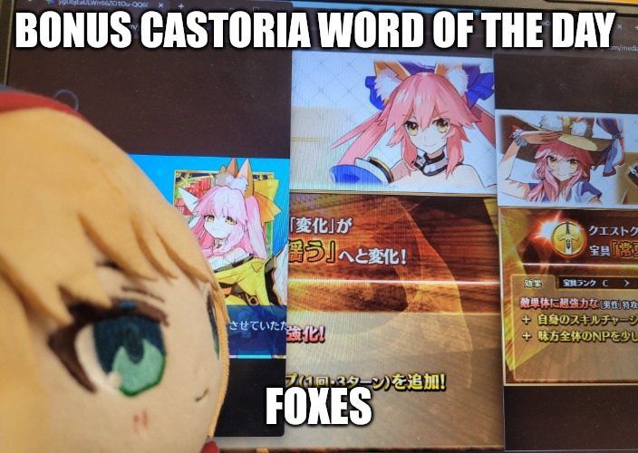 CastoriaWord tweet picture
