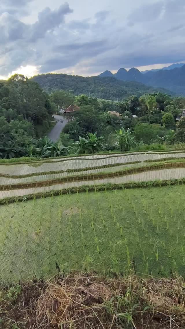 max37339915's tweet photo. This is Vietnam. https://t.co/3B1h4i6pfv