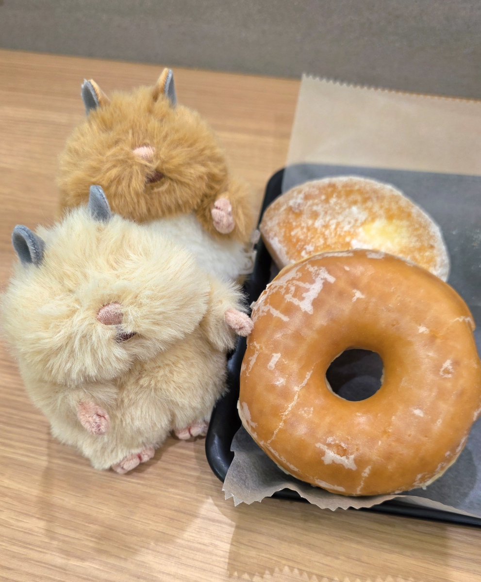 zumonamu's tweet photo. あったーーーー！！😍😍🐹✨💕
やはり田舎のお店は売りきれてない！😂💖顔ないから帰ってお毛毛チョキチョキしようね！🐹✂️ https://t.co/SJsDATzVfP
