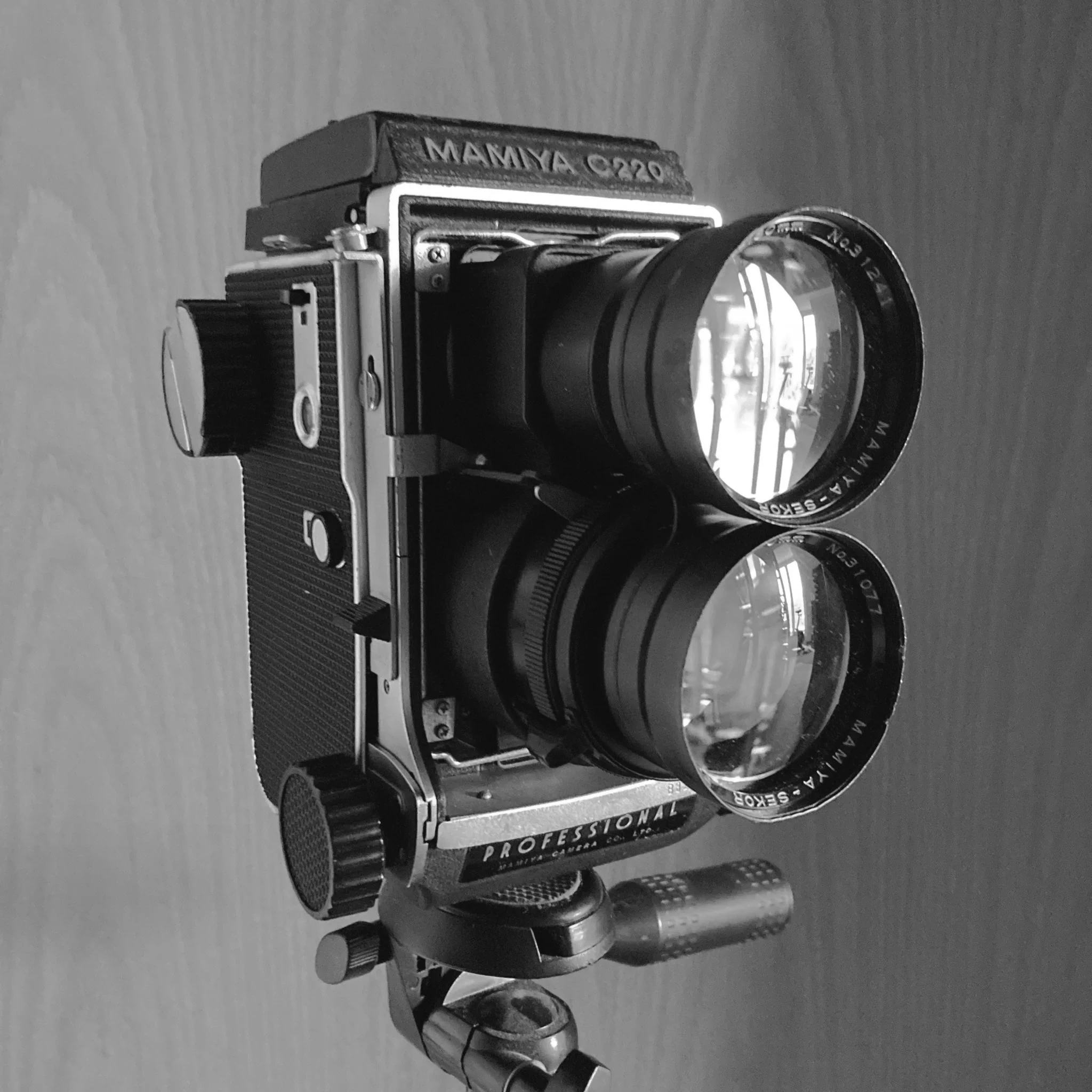 PhotoLust on X: 
