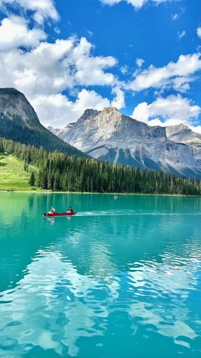 viewsoff's tweet photo. British Colombia 🇨🇴 https://t.co/SbGHMkBjnK