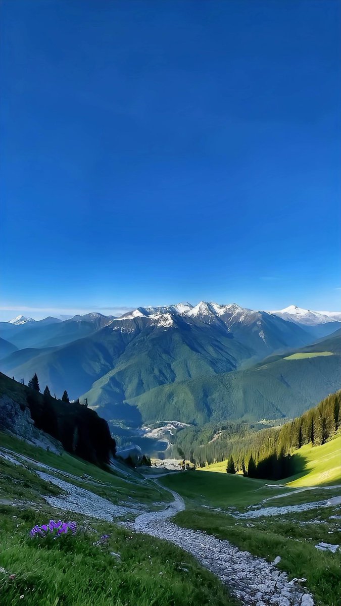 viewsoff's tweet photo. British Colombia 🇨🇴 https://t.co/SbGHMkBjnK