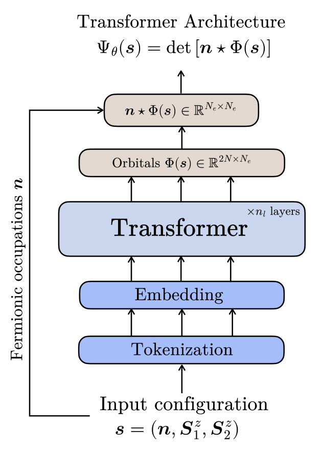 bravo_abad's tweet photo. A transformer models electrons and magnetism together, reaching 0.01% energy error

Electrons moving through a magnetic material interact with local spins, tiny quantum magnetic moments. Their collective behavior depends on how these two parts influence each other. Separating them too rigidly in a model can restrict the physics it captures.

Rende and colleagues build that interaction directly into a transformer-based neural quantum state, a neural-network representation of the system’s wave function.

Each lattice site becomes one token containing both its electron occupation and its local spins. The transformer uses the full configuration to generate electronic orbitals, the building blocks of the wave function. Those orbitals can change when the spin configuration changes. This is the central design choice: the magnetic surroundings enter the learned description of the electrons themselves.

The model is trained by minimizing the energy through variational Monte Carlo. On a 42-site chain, its ground-state energy differed from the established numerical reference, DMRG, by no more than 0.01% across the interaction strengths tested. It also reproduced the electron and spin correlations, providing a check beyond the energy alone.

The idea worth borrowing extends beyond quantum physics: when the interaction is the science you care about, make it part of the learned representation.

Rende et al., PRX Intelligence (2026). Creative Commons Attribution 4.0 International license. https://t.co/jr6o6Pcmla