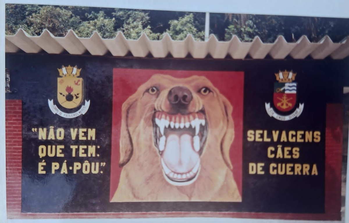 augusto_honorio's tweet photo. CCDVAN 1996 ADSUMUS
Capitão-de-Corveta (FN)
1º Cmte da Tropa de Elite https://t.co/QsNT4IMz1g