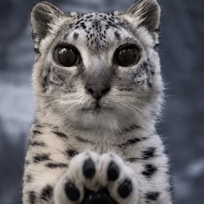 Jadenb993's tweet photo. #NewProfilePic https://t.co/CmdssyUlzf