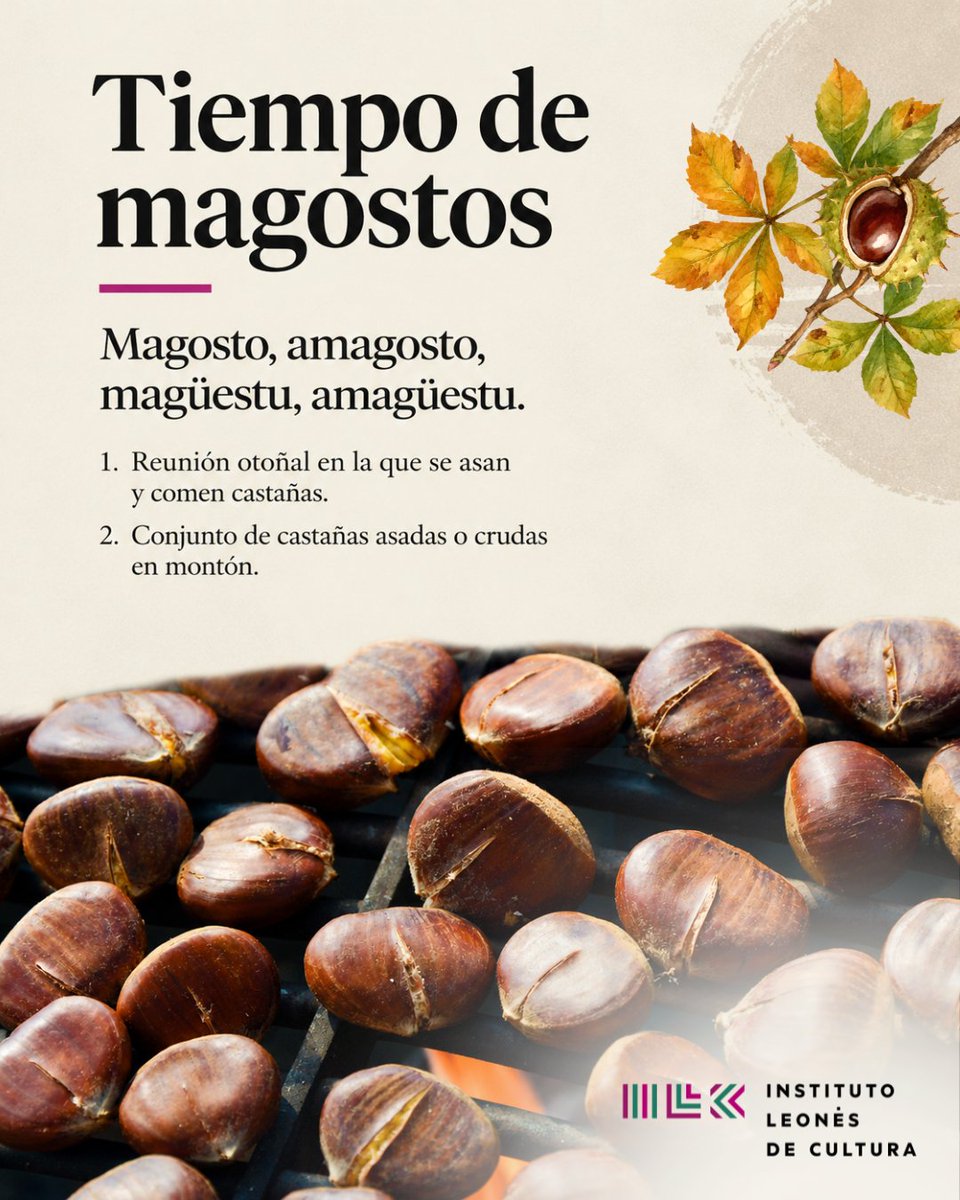 ilc_dipuleon's tweet photo. 🍂🔥 ¡Es tiempo de magostos!

Magosto, amagosto, magüestu, amagüestu… distintas formas de nombrar una tradición que nos reúne alrededor del fuego, las castañas, la música, el baile y la buena compañía.

Este otoño, ¡celebremos lo nuestro 🌰!

#LlumeYFilandón https://t.co/SYp4xYNbRr