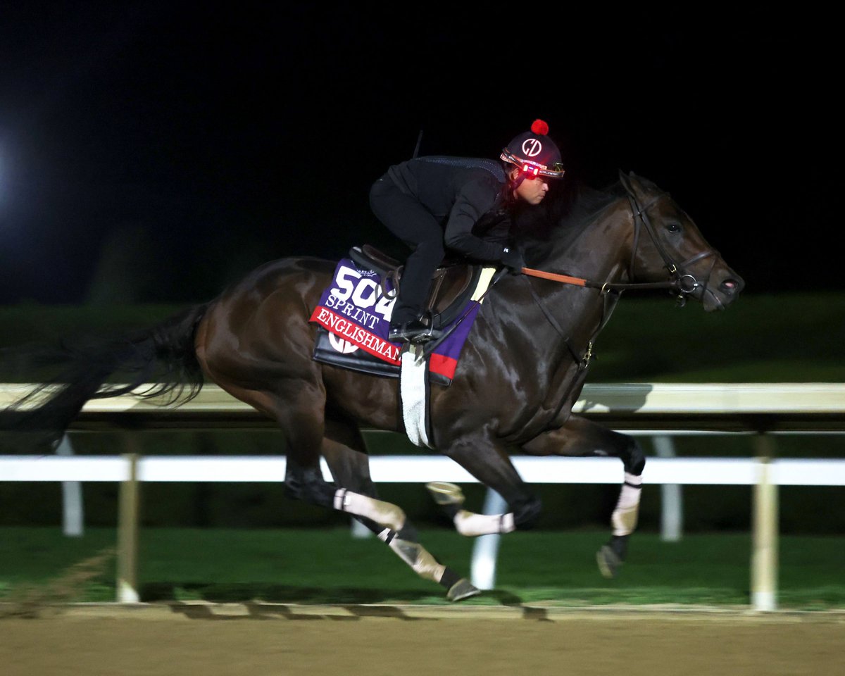coadymediaUSA's tweet photo. ENGLISHMAN worked lights out (literally) this morning at @keeneland! What an absolute monster of a racehorse. 4F :47.29. And he did it easy!! https://t.co/CV25dRDVhM
