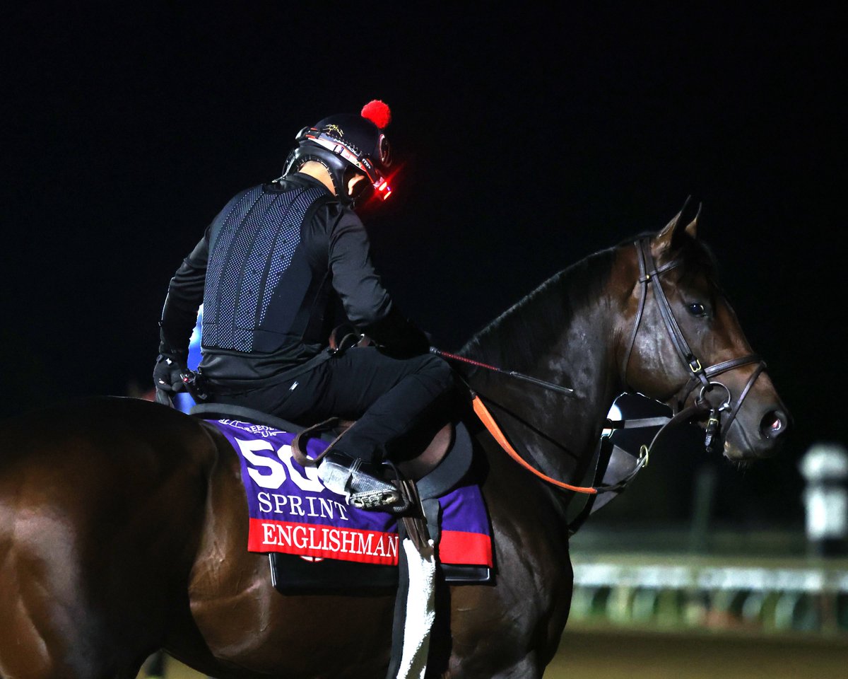 coadymediaUSA's tweet photo. ENGLISHMAN worked lights out (literally) this morning at @keeneland! What an absolute monster of a racehorse. 4F :47.29. And he did it easy!! https://t.co/CV25dRDVhM