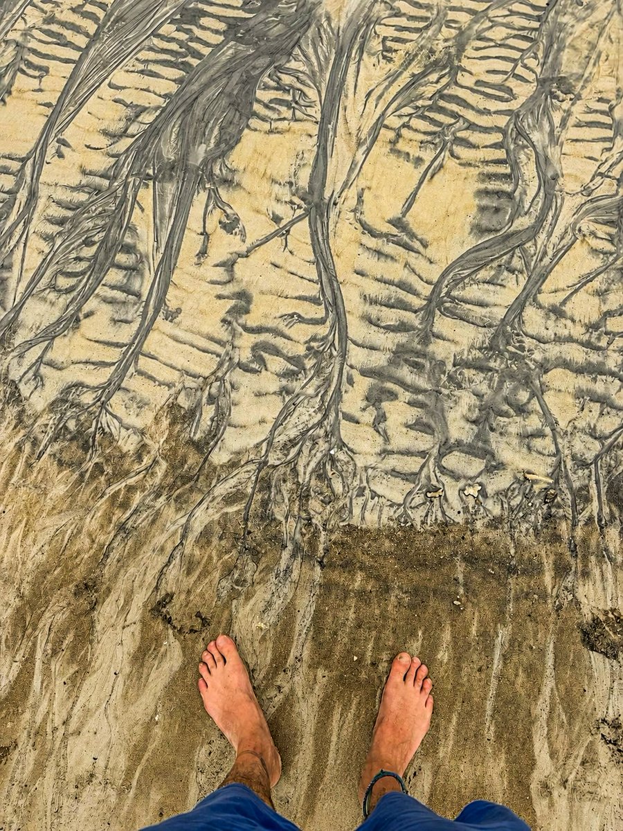 Rubyospinapadi1's tweet photo. Je loopt te dagdromen op het strand en beseft ineens: dit is een tentoonstelling van Moeder Natuur. De grootste, onnavolgbare artiest. Sorry Vincent, Pablo, Klimt, Rembrandt en Da Vinci. https://t.co/cY1MYSzPxu