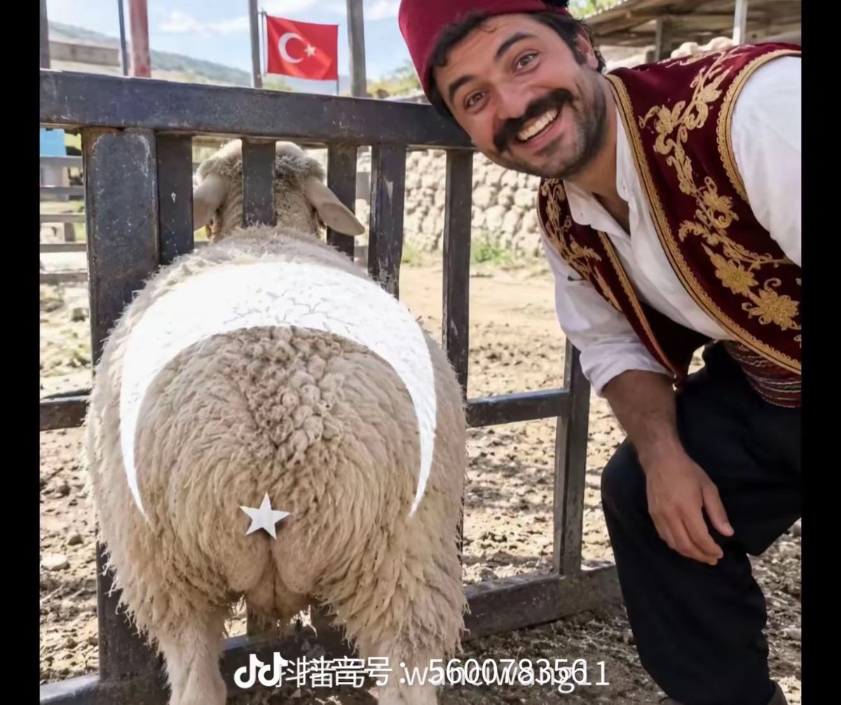 Zooh0507's tweet photo. @Canpasha1907 @571Birtalebe @LeLeluax https://t.co/XrI1GlcWij