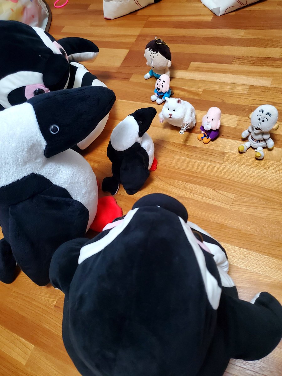 33gosigawara's tweet photo. なんらかの特殊能力持ちだと思ったらただ弱かっただけのおもちさんご一行
 #はむにぎり https://t.co/1aCqjcnlqv