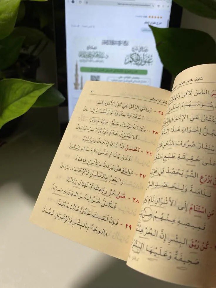 rajooy_97's tweet photo. لا تتزوّجي إلّا عظيمًا ..

رجلًا حقًّا، لا يتعالى عليكِ ولا يبخسُكِ حقّكِ، يتحمّل مسؤولية قلبه وقراراته، ويعرف كيف يُجابه معارك الحياة للوصول إليكِ. يخاف عليكِ من قلة الإنجاز وضياع الهدف، ويؤنّبكِ إذا مرّ عليكِ يومٌ دون أن تقرئي أو تتعلّمي شيئًا جديدًا ينفعكِ في دنياكِ ودينكِ 🌱. https://t.co/rQiPKI19bb