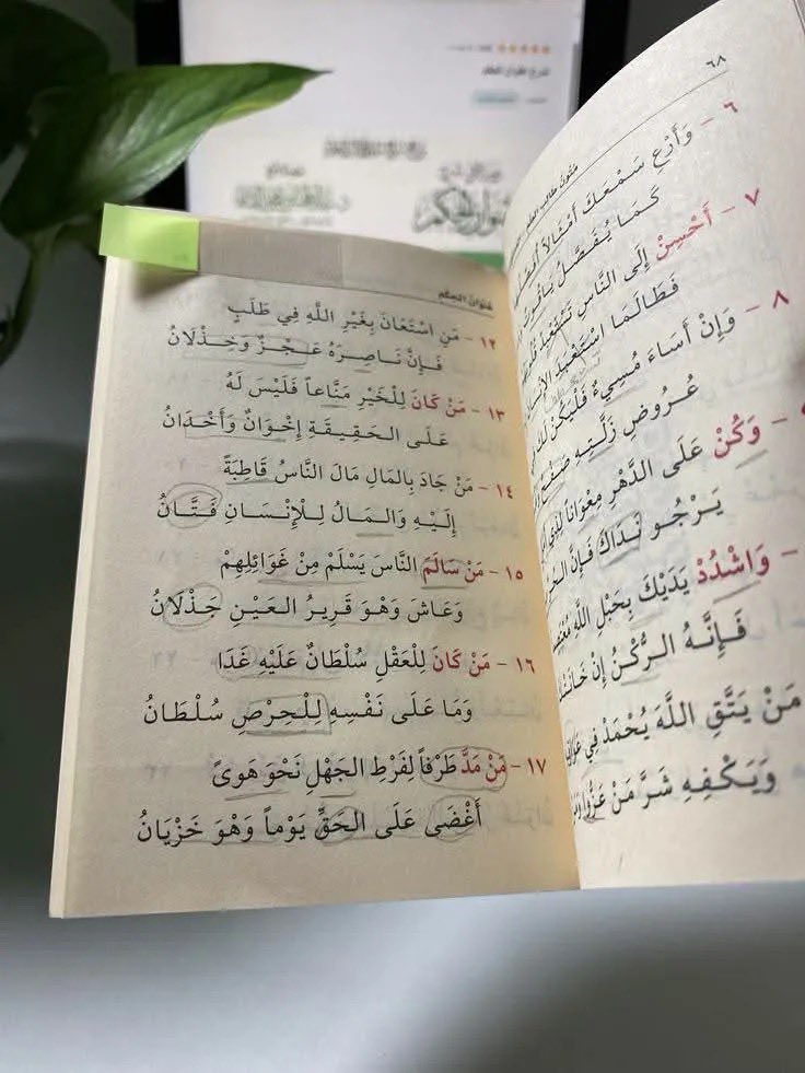 rajooy_97's tweet photo. لا تتزوّجي إلّا عظيمًا ..

رجلًا حقًّا، لا يتعالى عليكِ ولا يبخسُكِ حقّكِ، يتحمّل مسؤولية قلبه وقراراته، ويعرف كيف يُجابه معارك الحياة للوصول إليكِ. يخاف عليكِ من قلة الإنجاز وضياع الهدف، ويؤنّبكِ إذا مرّ عليكِ يومٌ دون أن تقرئي أو تتعلّمي شيئًا جديدًا ينفعكِ في دنياكِ ودينكِ 🌱. https://t.co/rQiPKI19bb
