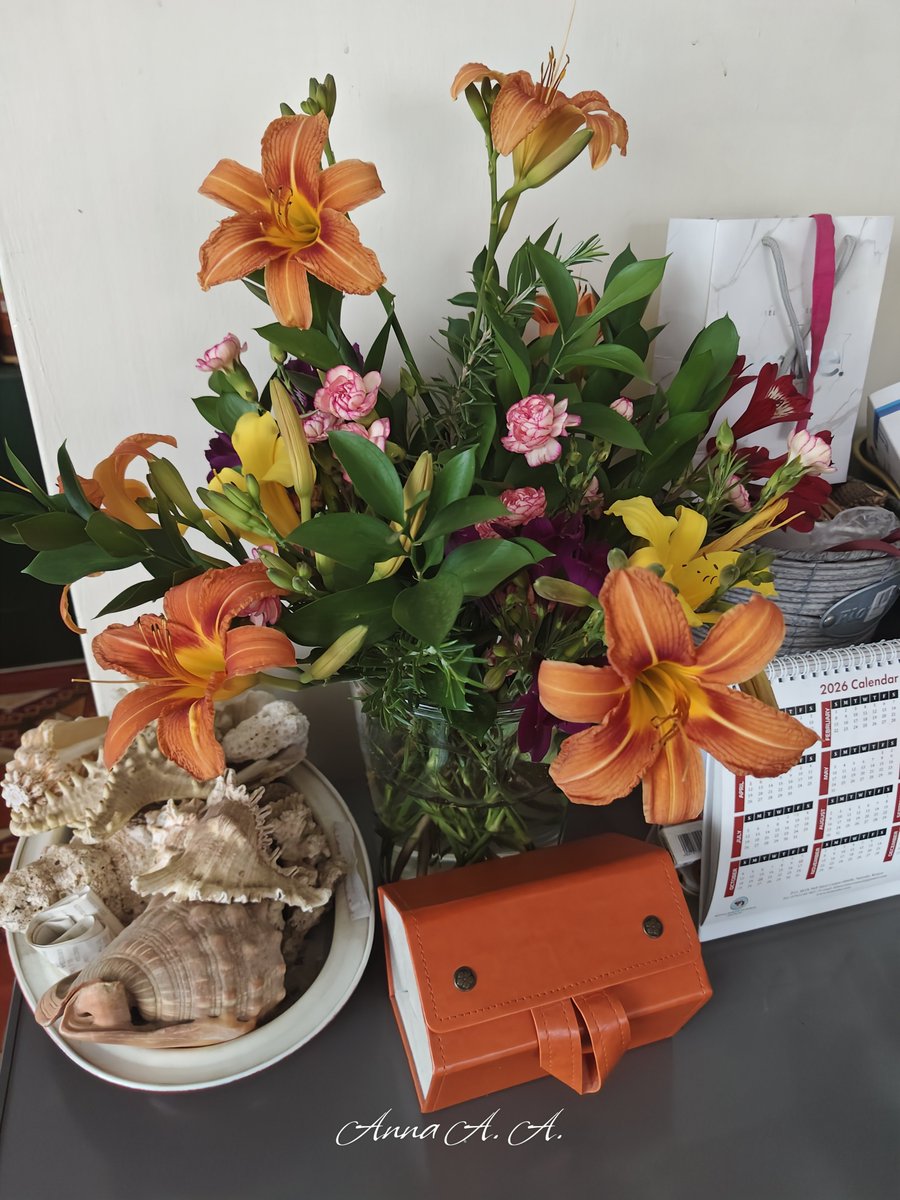 Iamquadriplea's tweet photo. It's been quite a while since I picked flowers from the garden. How pretty are these ladies? 🤩 My house smells absolutely divine. https://t.co/yE89ct6uwE