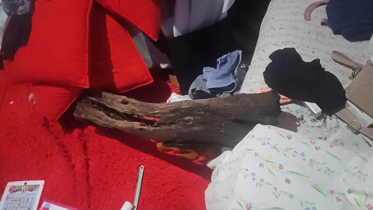 Ahora_Py's tweet photo. ENCAPUCHADOS ASALTAN UNA VIVIENDA Y HASTA SE LLEVAN LA CARNE DEL CONGELADOR

📍 Coronel Bogado: Cuatro hombres, dos aparentemente armados, irrumpieron en una casa donde estaban una mujer y sus dos hijas. Robaron G. 1 millón, un celular y carne. Las víctimas resultaron ilesas. Los delincuentes huyeron y son buscados.