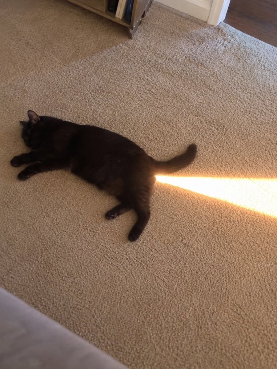 postcode_613's tweet photo. When Yoongi farts ✨✨✨ https://t.co/fEThvH6Pr4