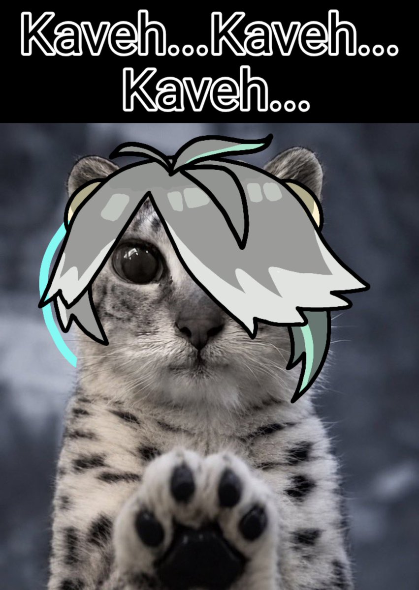 kavehpussyslick's tweet photo. meowtham needs something... #haikaveh https://t.co/swa9Zgwaj9