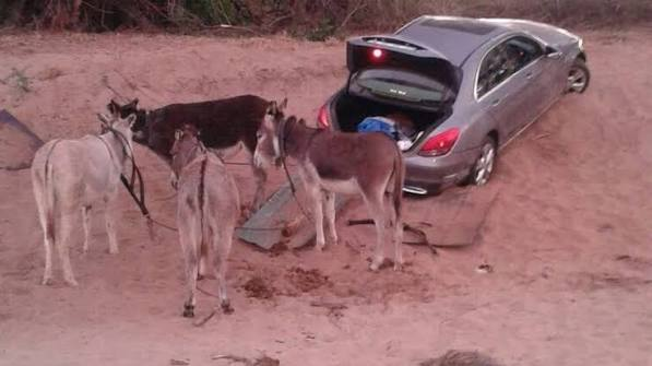 mpilo_simon's tweet photo. @AladyPL Vehicle theft and cross-border smuggling from South Africa into Zimbabwe are driven by highly organized transnational crime syndicates, porous borders, and a lucrative black market across Southern Africa. https://t.co/U9UfaoF5RE