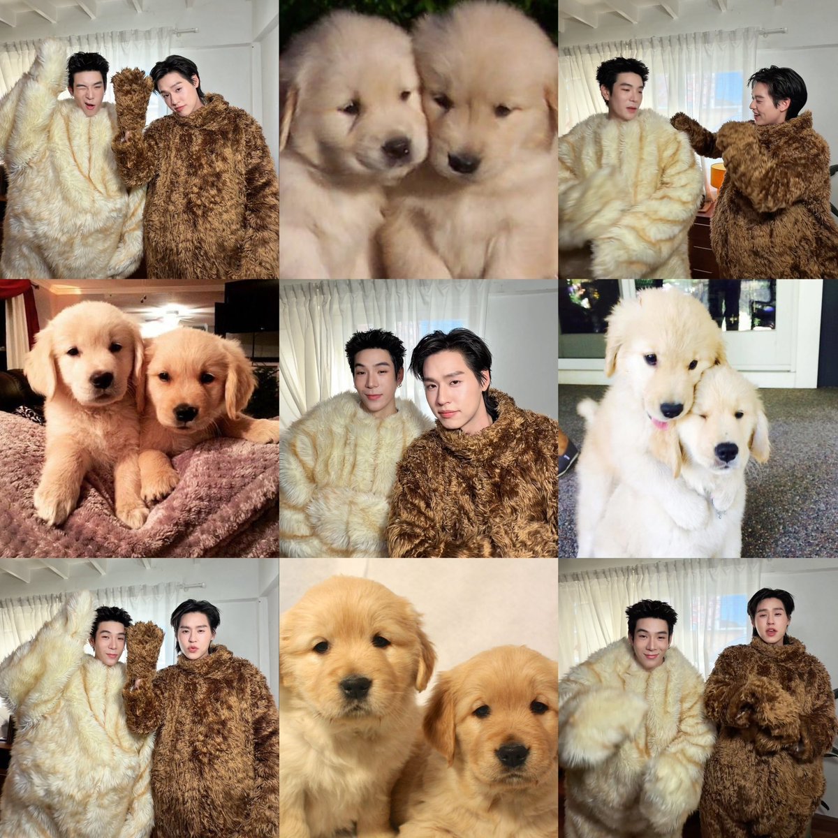 kaanomcake's tweet photo. หนิิิ บ้อกๆแบ้กๆ🐾🐶♥️🐶

#GoldenRetriever_JJBK https://t.co/s4NVjGAcL8