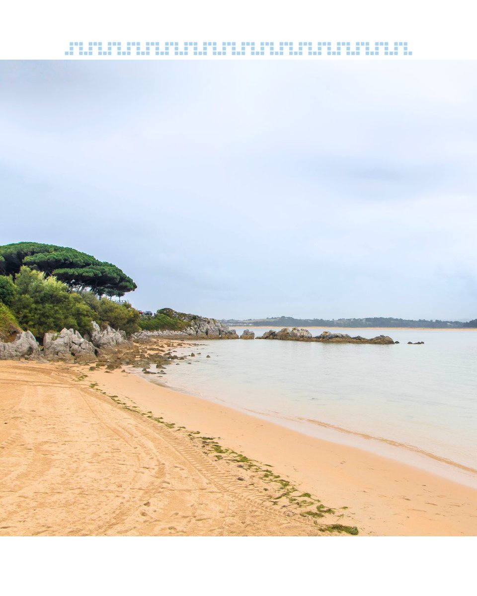 TurismoSDR's tweet photo. Las playas de Santander se disfrutan todo el año.
Puedes pasear descalzo sobre la arena, darte un baño, practicar deporte, leer o simplemente relajarte escuchando el sonido de las olas.
¡Tú eliges!
#Santander #TurismoSantander #SantanderEnamora #Playa #Cantabria #Naturaleza https://t.co/vcUfXGNEYg