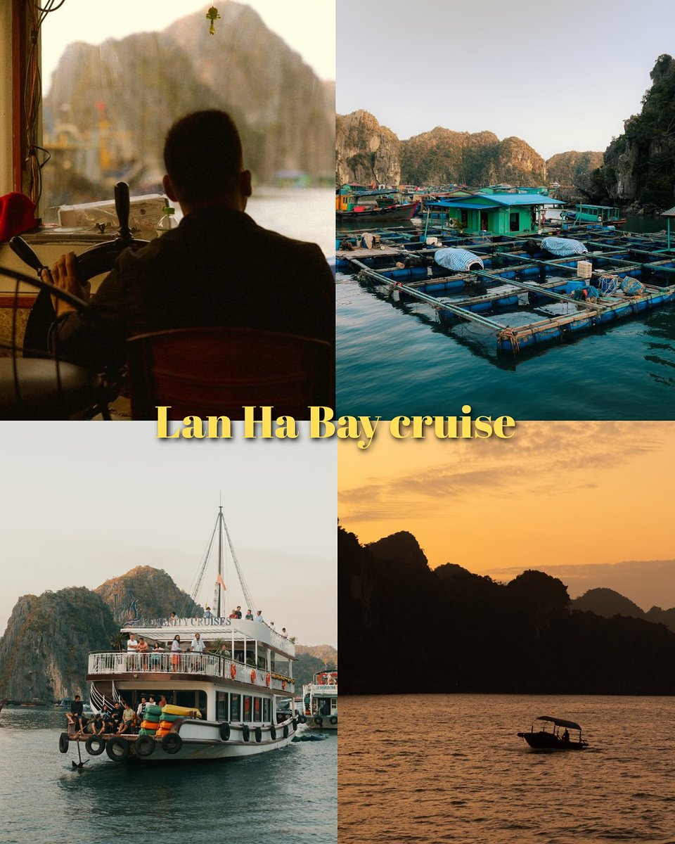 _HeyImJess's tweet photo. 5 bucket-list experiences in Vietnam: Ha Giang Loop, Trang An boat tour, My Son Sanctuary, Lan Ha Bay cruise, and a Hoi An coconut boat ride. Which one is first on your list? https://t.co/YeRWfZHhKb