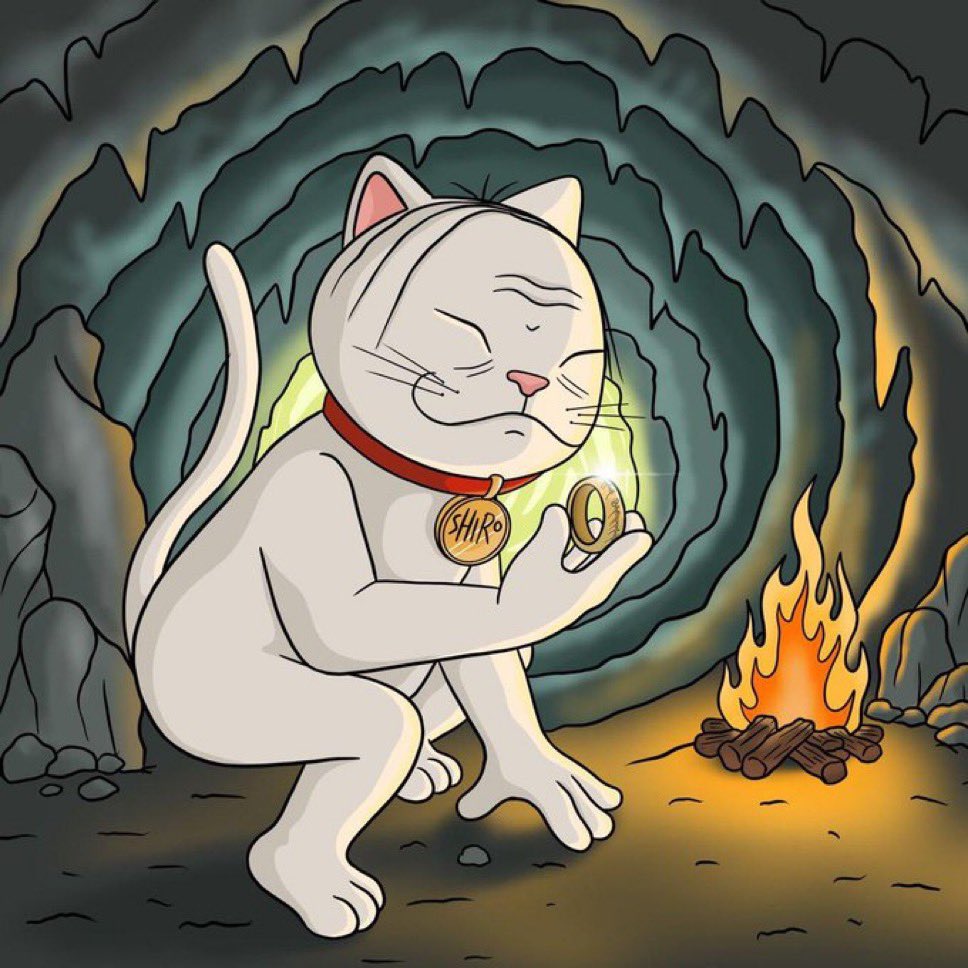 worldofgrace34's tweet photo. @y0lloo $SHIRO , Made it through the bear with this cat. I can wait for the next bull run. https://t.co/F6UoP9dQIf